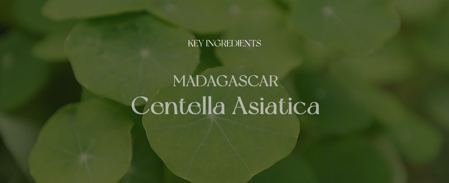 Madagascar Centella Sérum Ampola