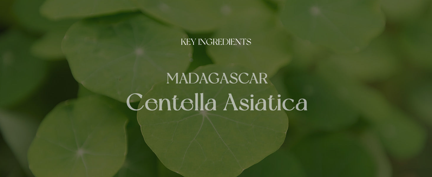 Madagascar Centella Ampoule Serum