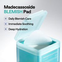 Madecassoside Blemish Pad (100 pads / 170ml)