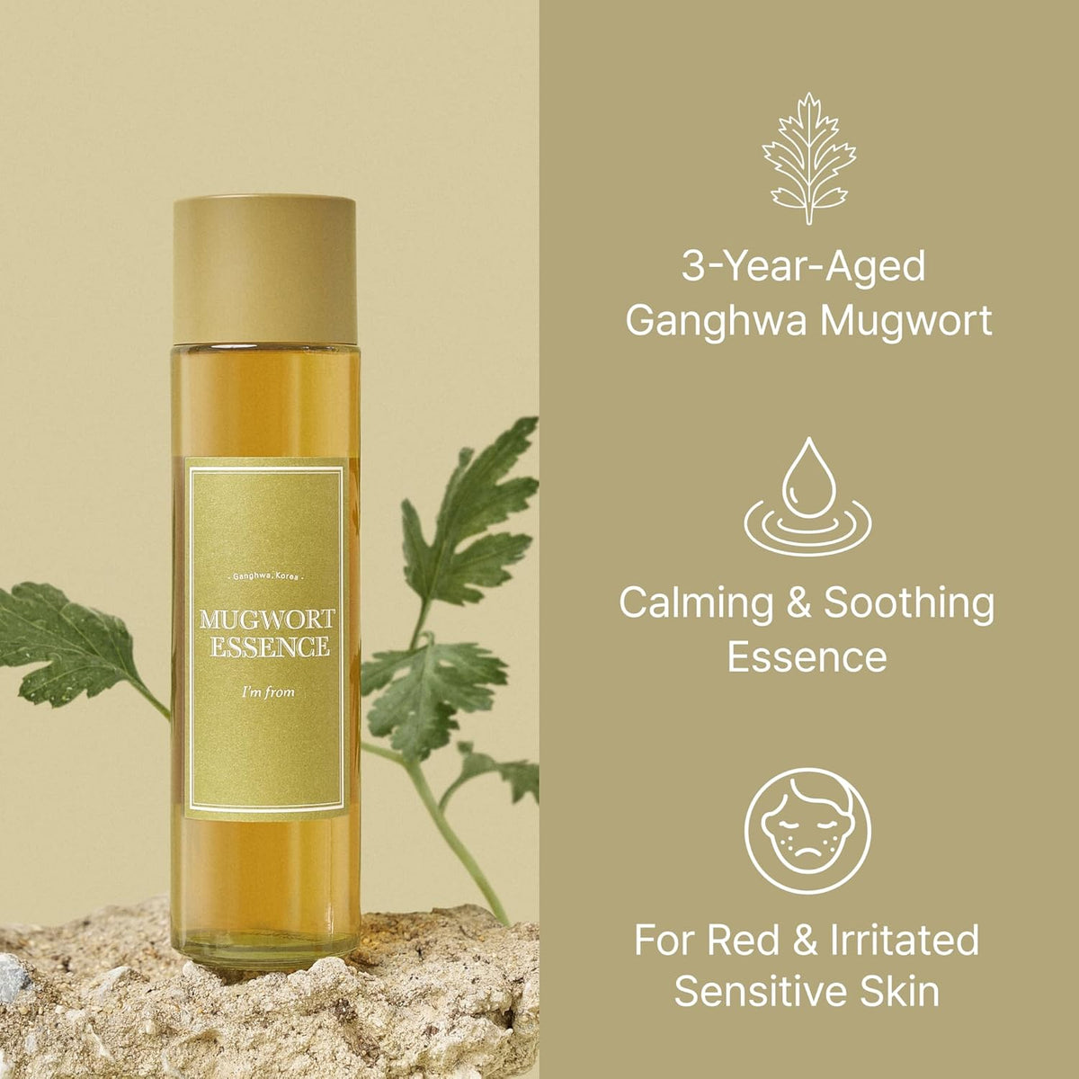 Mugwort Essence