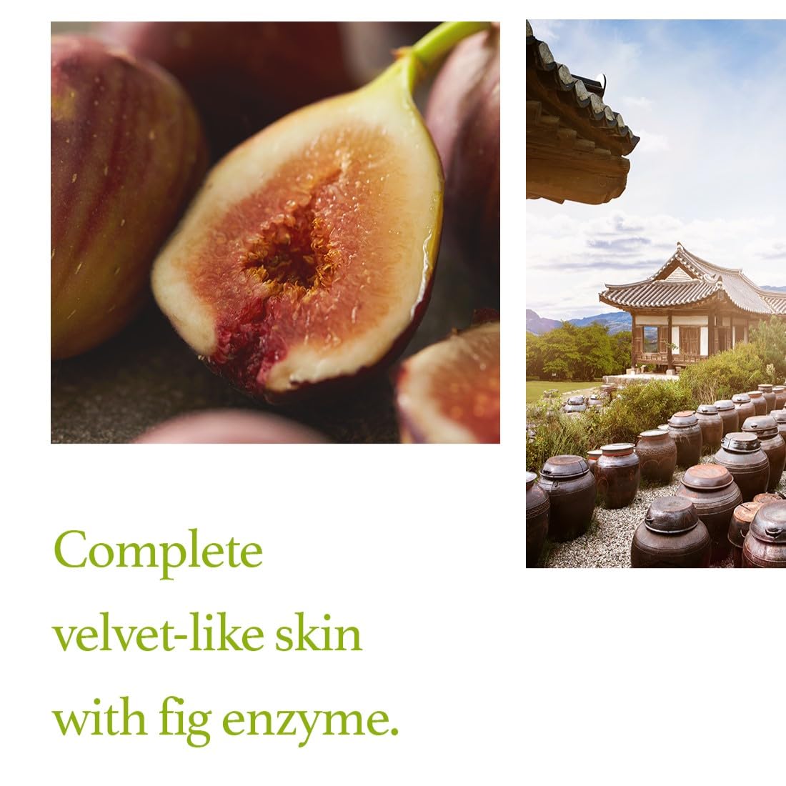 Fig Scrub Mask
