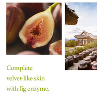 Fig Scrub Mask