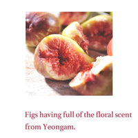 Fig Scrub Mask