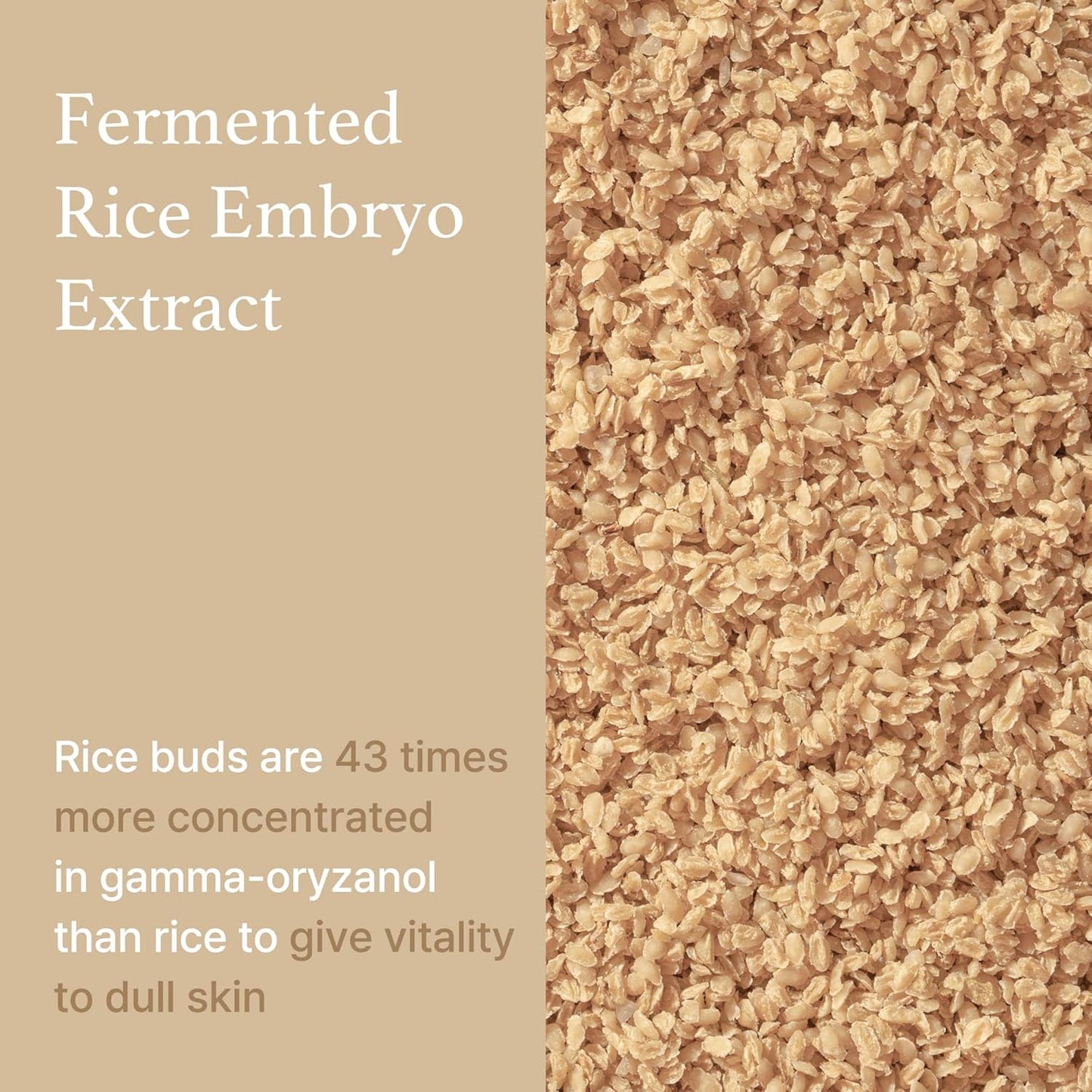 Sérum de Arroz